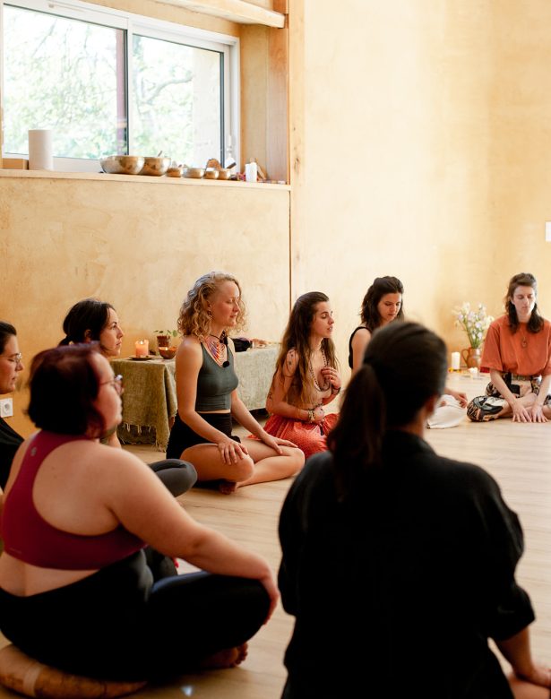 danse médecine - formation intensive